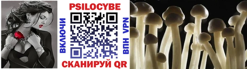 Псилоцибиновые грибы ЛСД  OMG как зайти  Полысаево 