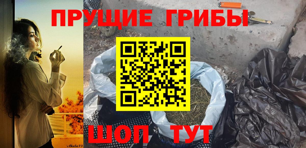 Псилоцибиновые грибы Psilocybe  Псилоцибиновые грибы Cubensis  Вход с VPN  Полысаево 
