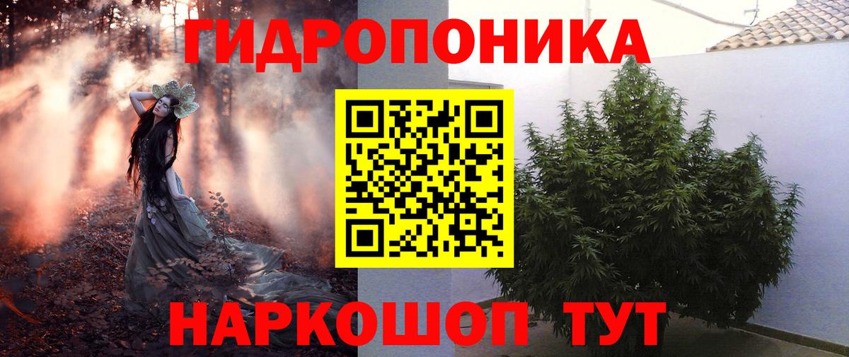 Шишки марихуана марихуана Полысаево