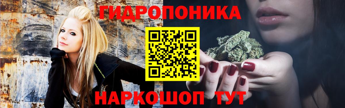 Бошки марихуана SATIVA & INDICA Полысаево